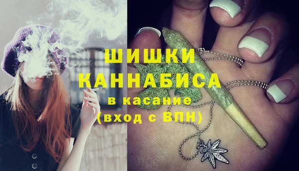 метадон Няндома