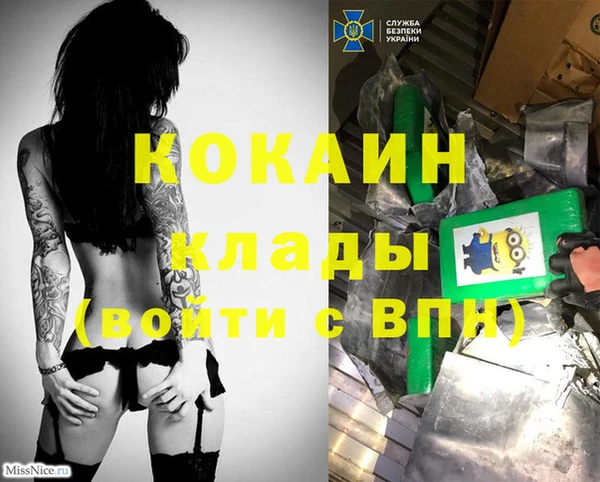 гашик Нягань