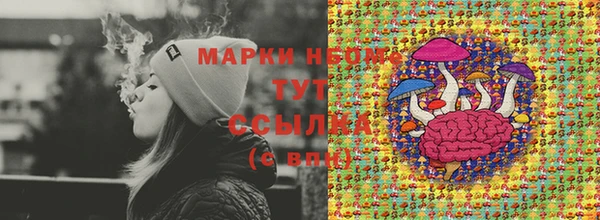 гашик Нягань
