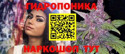 МДМА Гатчина