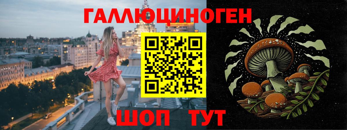 Галлюциногенные грибы ЛСД  Вход с VPN  Галлюциногенные грибы Magic Shrooms  купить наркотики цена  Киржач 